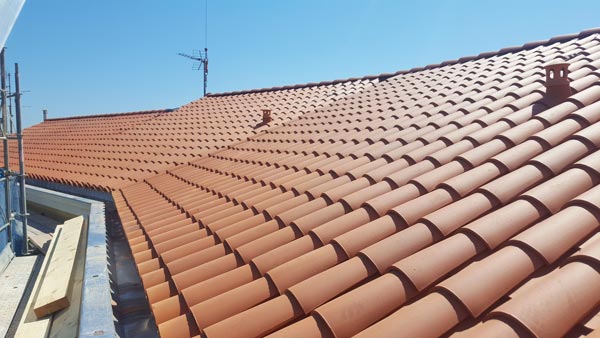 Terrassement fini avec pose du gazon en rouleau